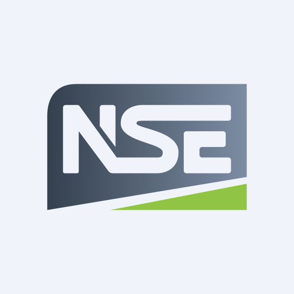 NSE Stock Exchange Logo